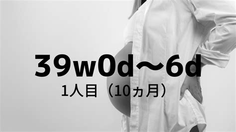 えろ 出産|pregnant 8481冊